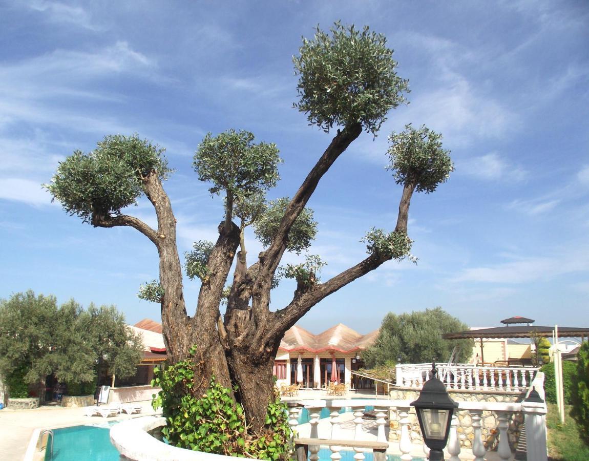 Alize Resort Hotel Yenifoca Esterno foto
